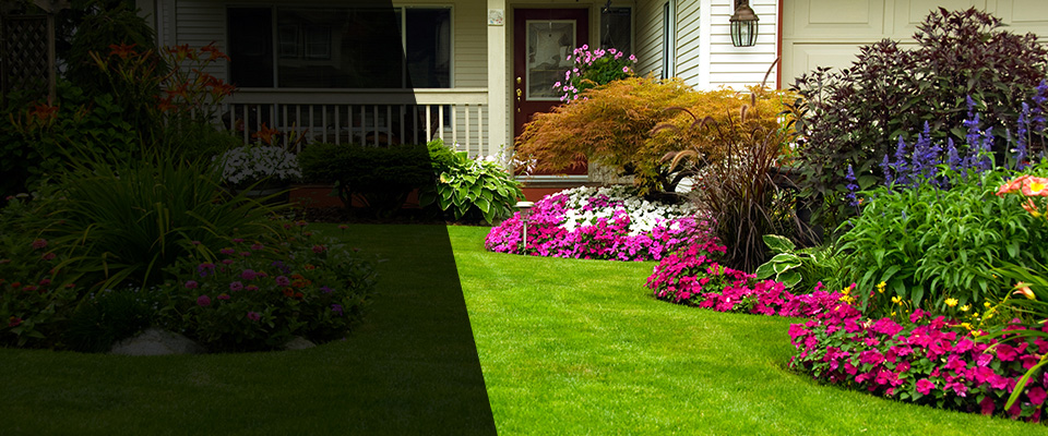 Whitesburg Landscapers